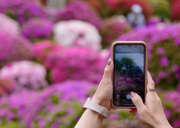 Foto: Tanjug/ (AP Photo/Eugene Hoshiko)