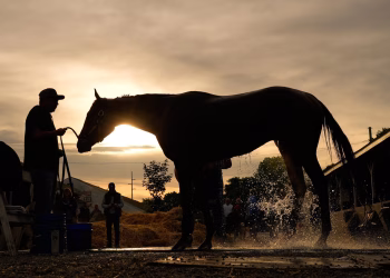 Foto: Tanjug/ (AP Photo/Charlie Riedel)