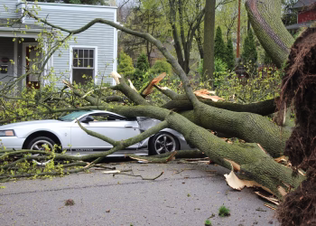 Foto: Tanjug/ ( Jordyn Pair /Ann Arbor News via AP)