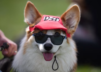 Foto: Tanjug/  (AP Photo/Petr David Josek)