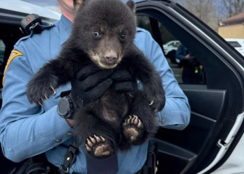 Foto: Tanjug/(New Jersey State Police via AP)