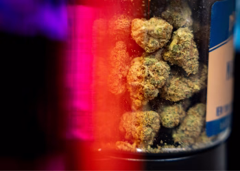 Foto: Tanjug/(AP Photo/Angelina Katsanis)