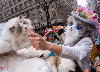 Foto: Tanjug/(AP Photo/Adam Gray)