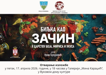 Vizual: Centar za kulturu "Vuk Karadžić" Loznica