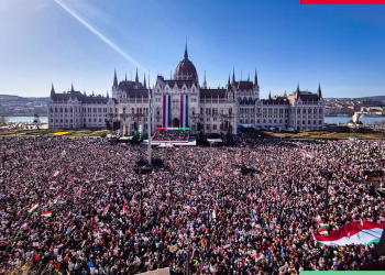Foto: Fejs Orban