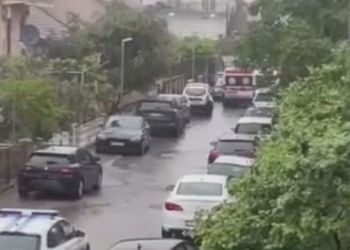 Foto: printskrin telegraf.rs