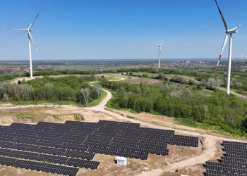 Foto: Tanjug/EPS/Slađan Bondarenko