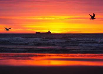 Foto: Tanjug/ Owen Humphreys/PA via AP)