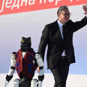 vucic ed