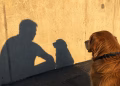 Foto: autor