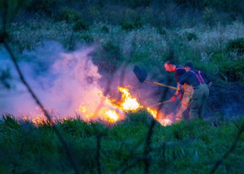 Foto: MMKPHOTOGRAPHY / Alamy / Profimedia
