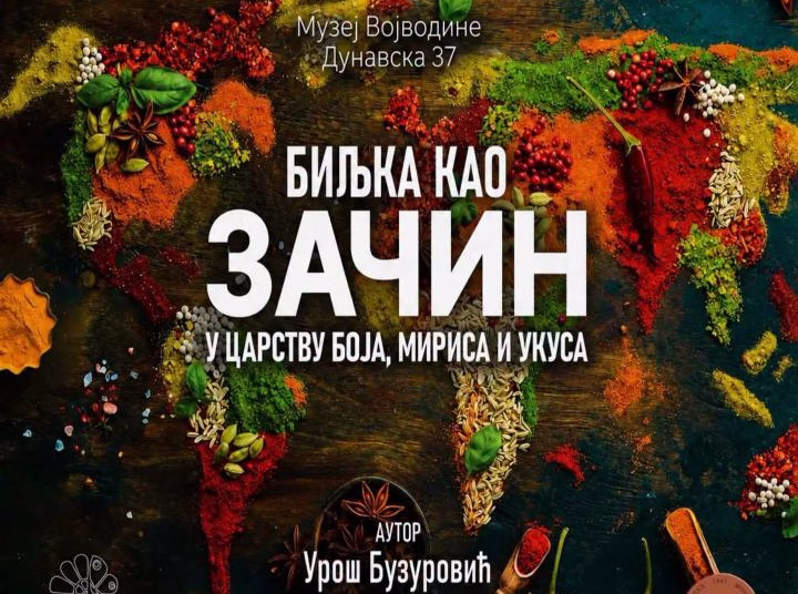 Vizual: Muzej Vojvodine