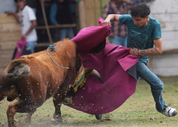 Foto: Tanjug/ (AP Photo/Dolores Ochoa).