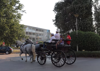 Foto: Turistička Organizacija Veliko Gradište/Dušan Nikolić