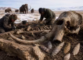 Foto: autor