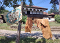 Foto: Zavičajni muzej Knjaževac