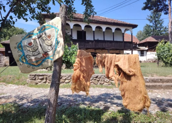 Foto: Zavičajni muzej Knjaževac