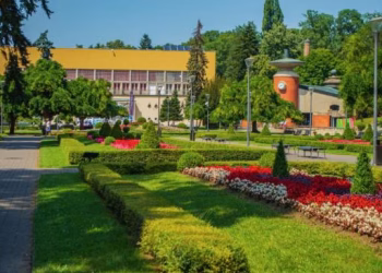 Foto: TANJUG/Shutterstock.com/Nikola_Goga, ilustracija