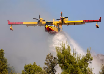 Foto: Copyright Amel Emric / Alamy / Profimedia