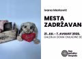 Vizual: Dom omladine Beograda