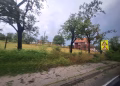 Foto: TANJUG/BRANKO LUKI