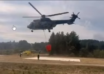 Foto: IG ivica.dacic.rs