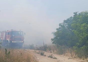 Foto: Preuzeta fotografija/Panon RTV