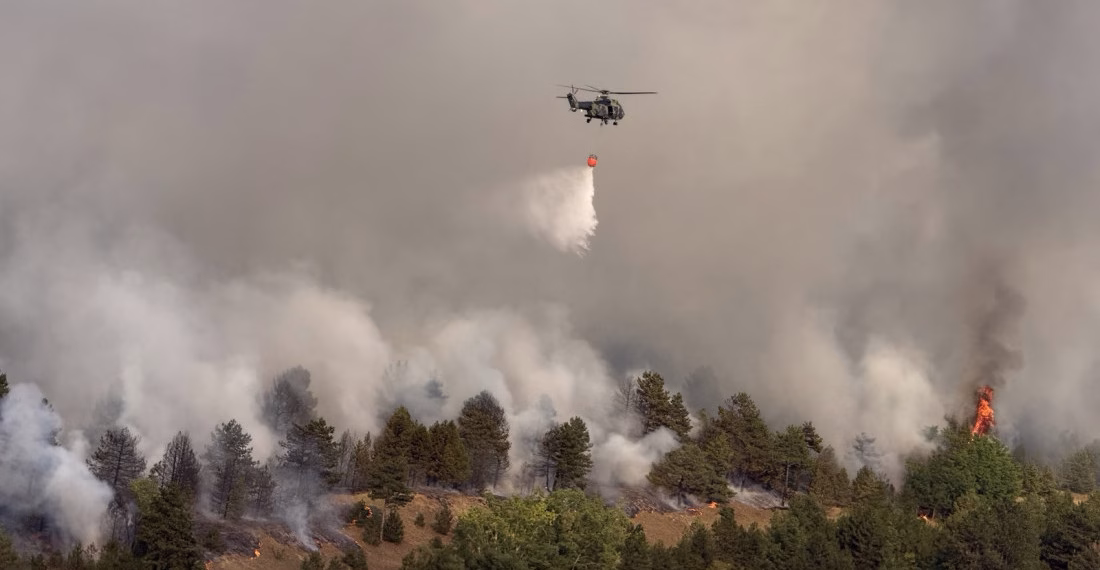 Foto: MUP Srbije