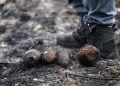 Foto: ROMAIN PERROCHEAU / AFP / Profimedia
