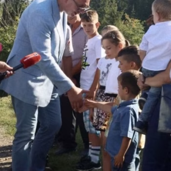 vucic ed