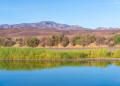 Foto: Credit: migstock / Alamy / Profimedia