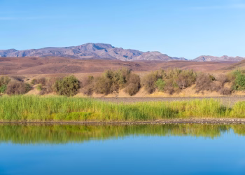Foto: Credit: migstock / Alamy / Profimedia