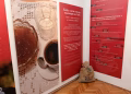 Foto: Muzej rudničko-takovskog kraja / Museum of Rudnik and Takovo Region