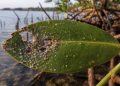 Foto: autor