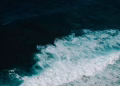 Foto: pexels