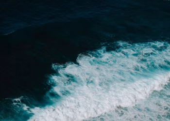 Foto: pexels