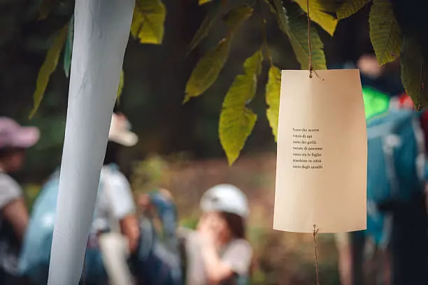 Foto: Unsplash