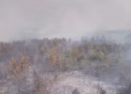 Foto: MUP Srbije