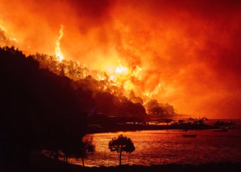 Foto: tANJUG/AP Photo/Tom Dubravec