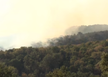 Foto: Preuzeta fotografija/RTV