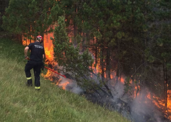 Foto: MUP Srbije
