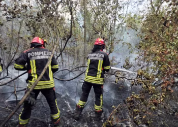 Foto: MUP Srbije