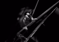 Foto: Unsplash