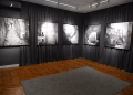 Foto: Galerija Matice srpske