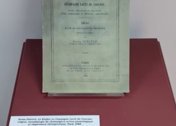 Foto: Muzej rudničko-takovskog kraja / Museum of Rudnik and Takovo Region
