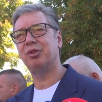 cropped-vucic.avif