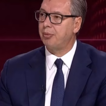 cropped-vucic-e3.avif