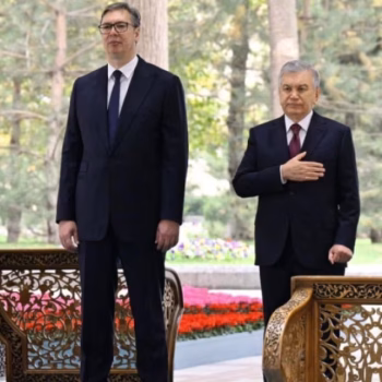 cropped-vucic-savkat.avif