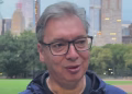 Foto: IG avucic