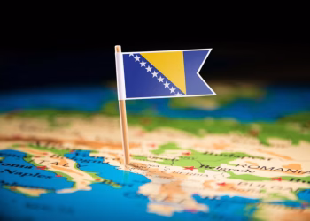Foto: Tanjug/Shutterstock.com/BUTENKOV ALEKSEI, ilustracija